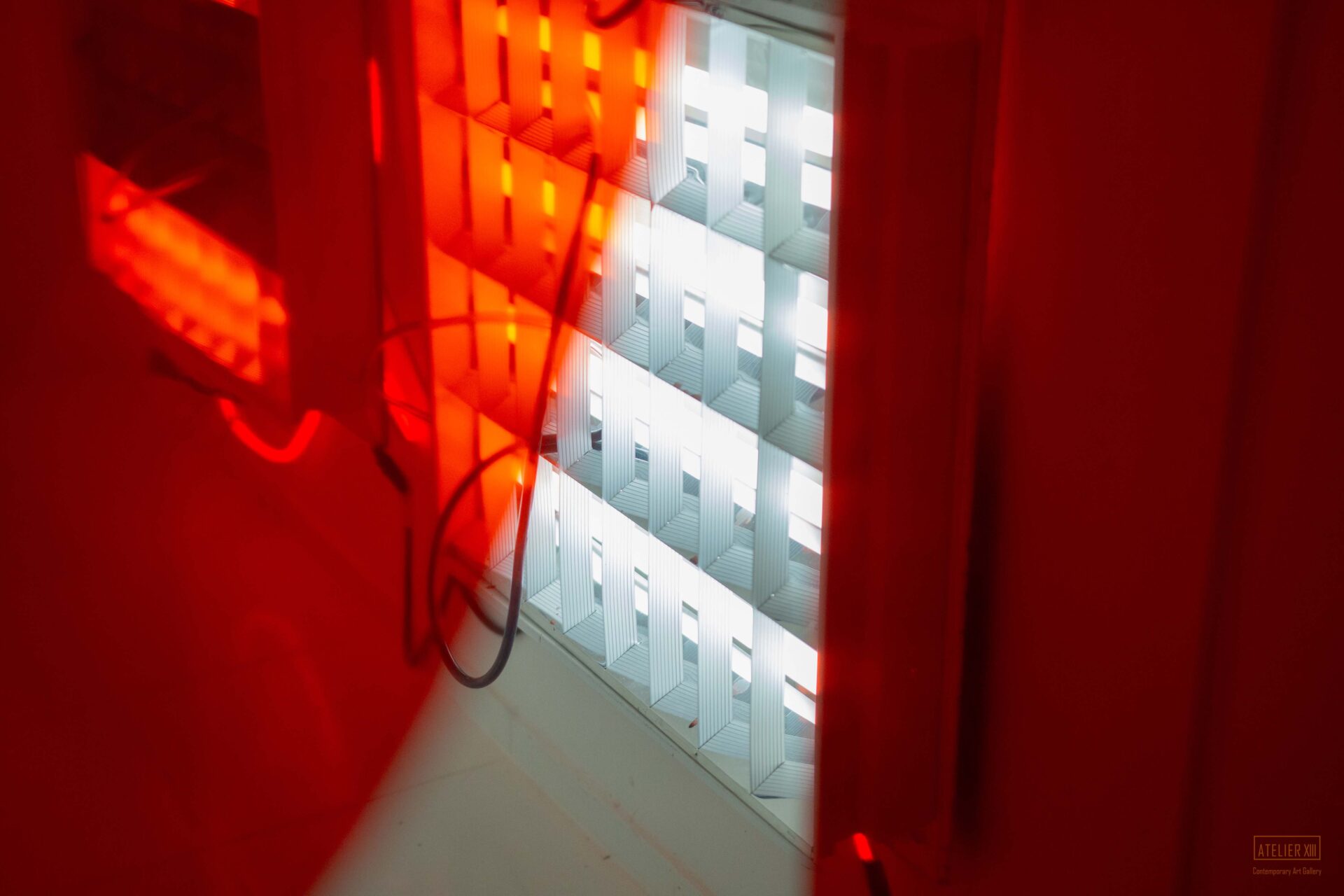 ALEX ZELINA & RADOVAN DRANGA : AUSGANG STUDIO